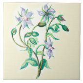 Wildblumen-Land-Küchen-Keramik-FlieseBorage Fliese (Vorderseite)