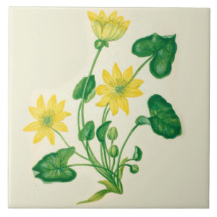 Wildblumen-Land-Küchen-Keramik-FlieseCelandine Fliese