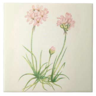 Wildblumen-Land-Küchen-Keramik-Fliesen-Seerosa Fliese