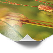 Wildblumen Lupine & Prairie Fotodruck (Ecke)