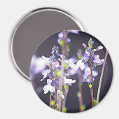 Wildblumen Magnet (Vorderseite/Rückseite)