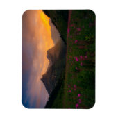 Wildblumen Magnet (Vertikal)