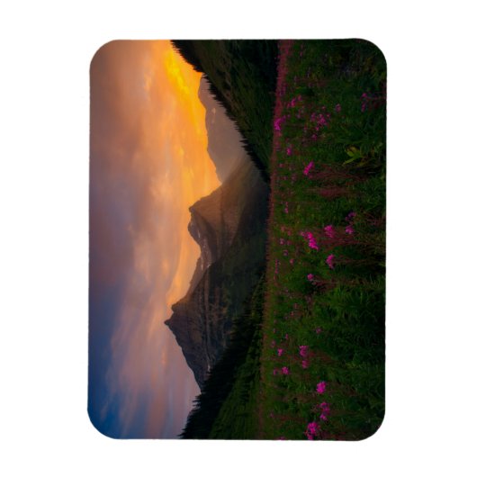 Wildblumen Magnet (Vertikal)