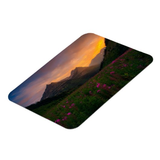 Wildblumen Magnet (Linke Seite)