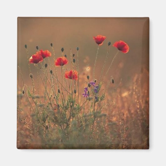 Wildblumen Magnet (Vorne)