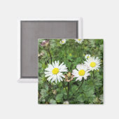 WILDBLUMEN MAGNET (Vorderseite/Rückseite)