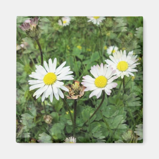 WILDBLUMEN MAGNET (Vorne)