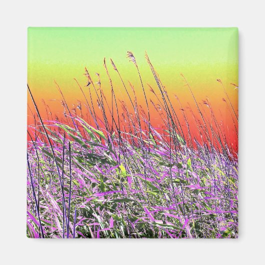 WILDBLUMEN MAGNET (Vorne)
