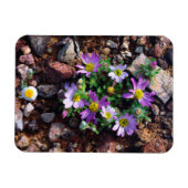Wildblumen Magnet (Horizontal)