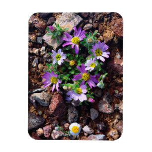 Wildblumen Magnet