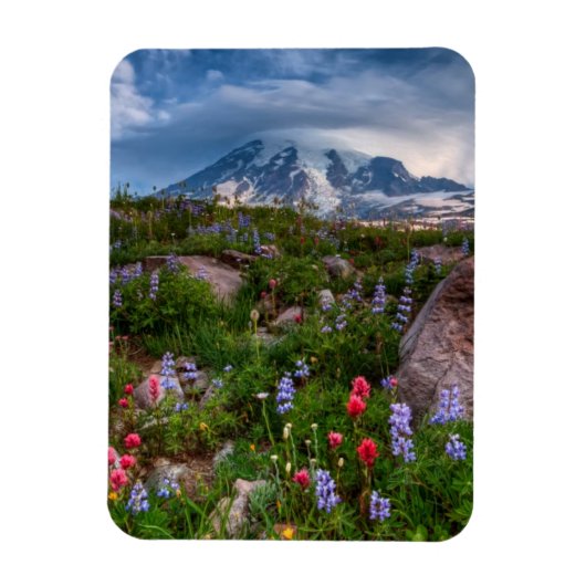 Wildblumen Magnet (Vertikal)