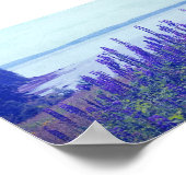Wildblumen Maine Lupine Blume Poster (Ecke)