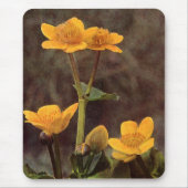 Wildblumen: Marsh Marigold Mousepad (Vorne)