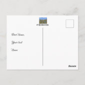 Wildblumen mit Postkarte (Rückseite)