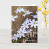 Wildblumen mit Regentropfen Karte (Gelbe Blume)