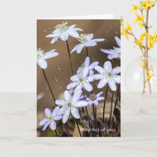 Wildblumen mit Regentropfen Karte (Gelbe Blume)