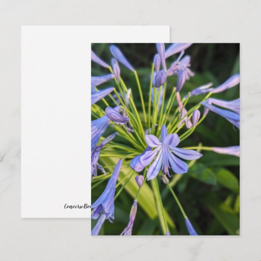 Wildblumen Mitteilungskarte (Vorne/Hinten)