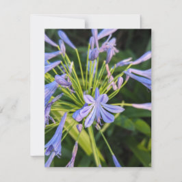 Wildblumen Mitteilungskarte
