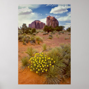 Wildblumen - Monument-Tal - Arizona Poster