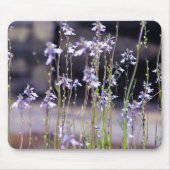 Wildblumen Mousepad (Vorne)
