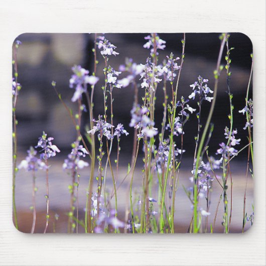 Wildblumen Mousepad (Vorne)