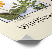 Wildblumen Nordamerikas [A] Poster (Ecke)
