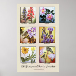 Wildblumen Nordamerikas [A] Poster
