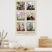 Wildblumen Nordamerikas [C] Poster (Küche)