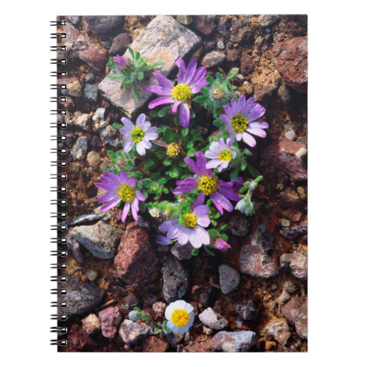 Wildblumen Notizblock (Vorderseite)