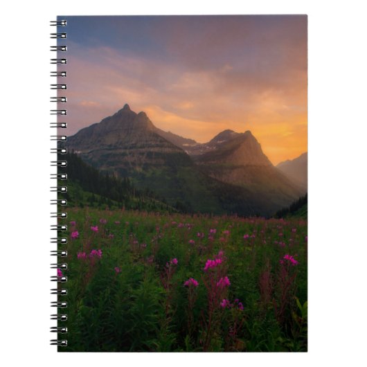 Wildblumen Notizblock (Vorderseite)