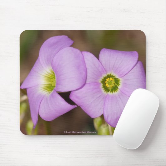 Wildblumen - Pink Oxalis Mouse Pad Mousepad (Mit Mouse)