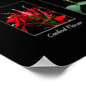 Wildblumen-Plakat Poster (Ecke)