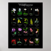 Wildblumen-Plakat Poster (Vorne)