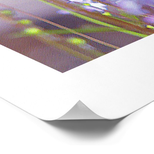 Wildblumen Poster (Ecke)