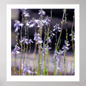Wildblumen Poster (Vorne)