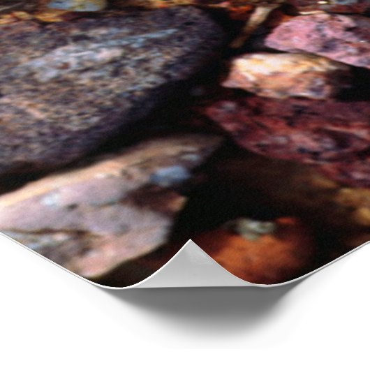 Wildblumen Poster (Ecke)