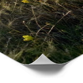 Wildblumen Poster (Ecke)
