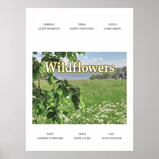 Wildblumen Poster (Vorne)