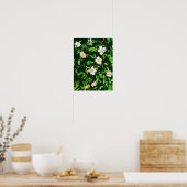 WILDBLUMEN POSTER (Küche)
