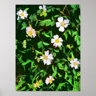 WILDBLUMEN POSTER