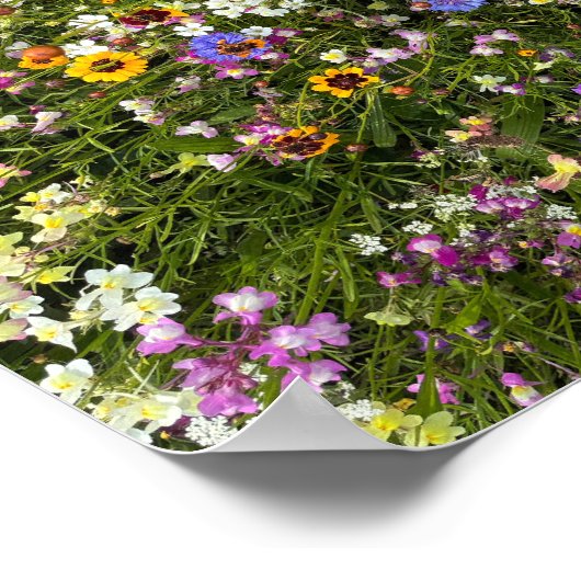 Wildblumen Poster (Ecke)