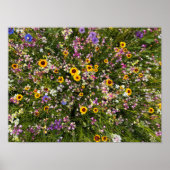 Wildblumen Poster (Vorne)