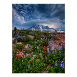 Wildblumen Poster