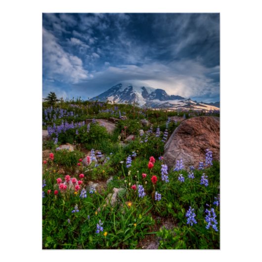 Wildblumen Poster (Vorderseite)