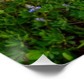 Wildblumen Poster (Ecke)