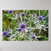 WILDBLUMEN POSTER (Vorne)