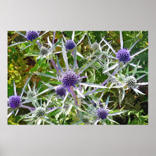 WILDBLUMEN POSTER