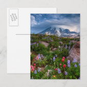 Wildblumen Postkarte (Vorne/Hinten)
