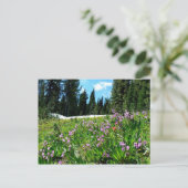 Wildblumen Postkarte (Stehend Vorderseite)
