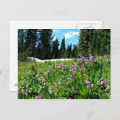 Wildblumen Postkarte (Vorne/Hinten)